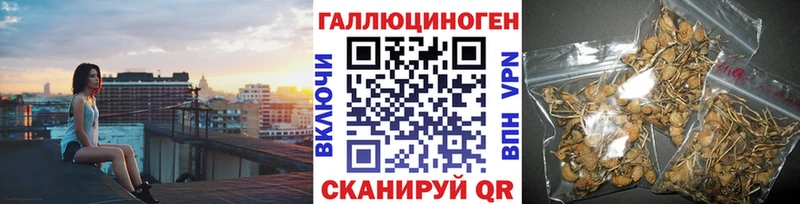 Псилоцибиновые грибы GOLDEN TEACHER  Томилино 