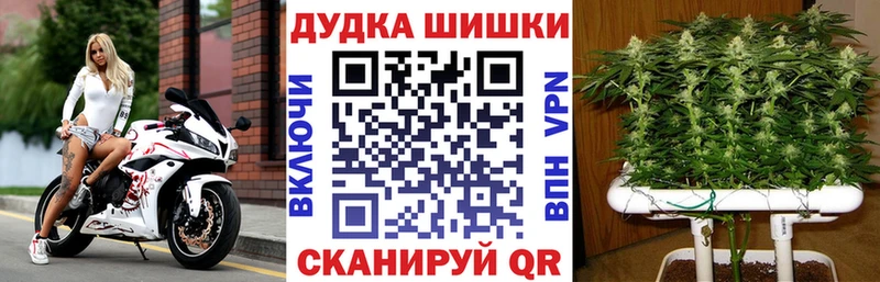 Бошки марихуана THC 21%  omg   площадка телеграм  закладки  Томилино 